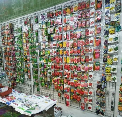 Фото: пресс-служба Россельхознадзора по республикам Хакасия и Тыва 