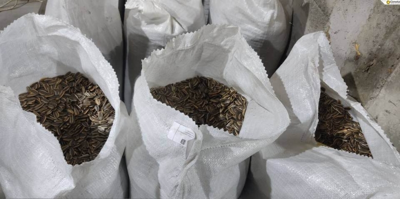 Фото: пресс-служба Управления Россельхознадзора по республикам Хакасия и Тыва