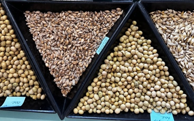 Фото: пресс-служба Минсельхозпрод РХ