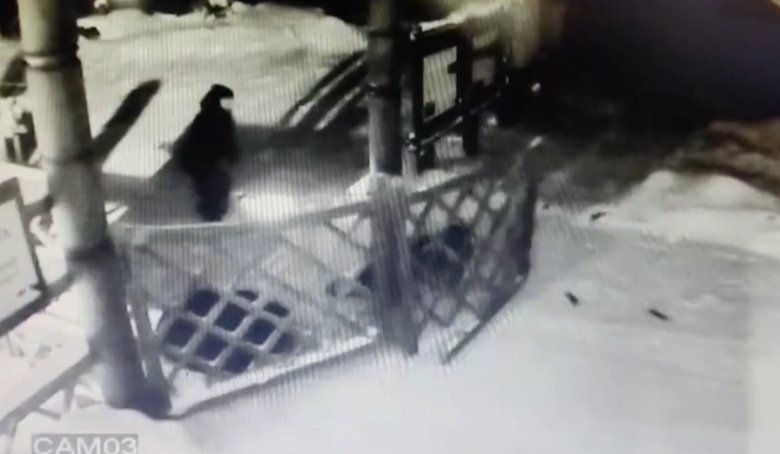 Стоп-кадр видео Саяно-Шушенского заповедника