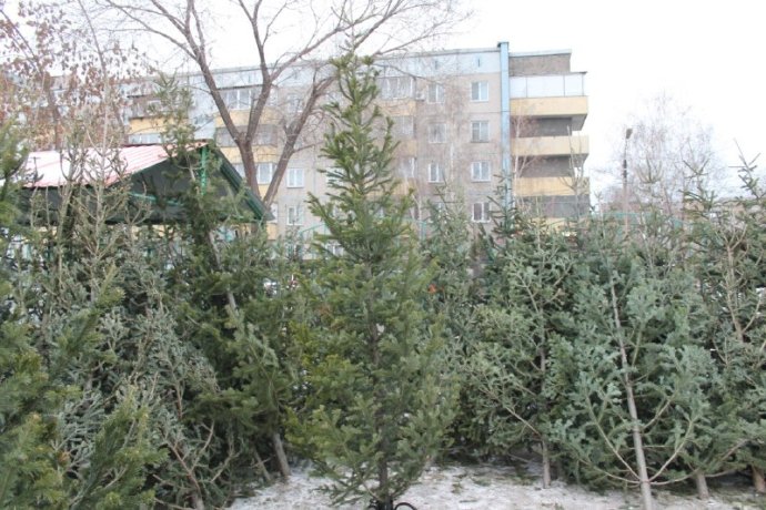 Фото: Россельхознадзор по Хакасии