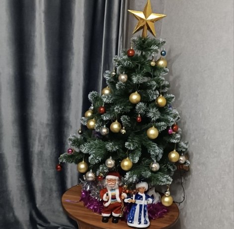 Фото: Владимир Красилов 