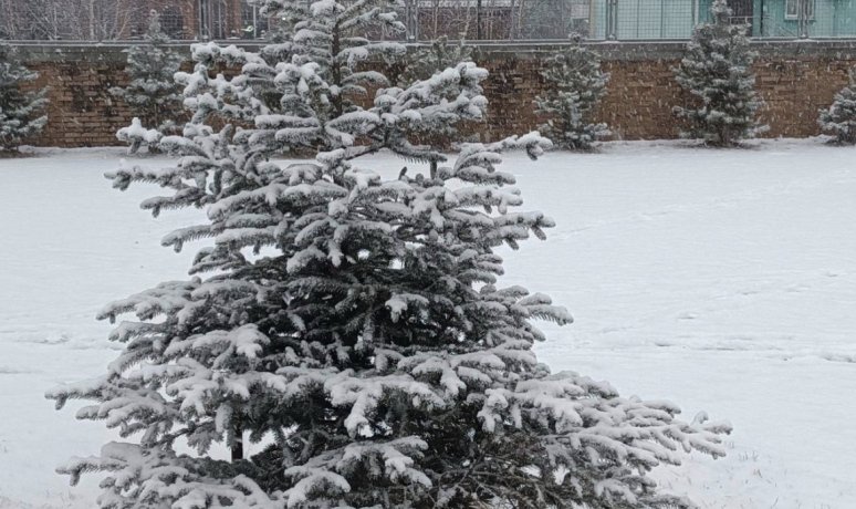 Фото: Владимир Красилов 