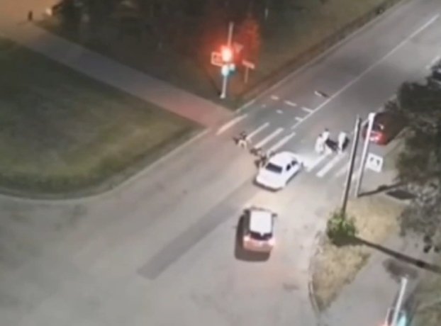 Фото: Стопкадр видео Прокуратуры Красноярского края