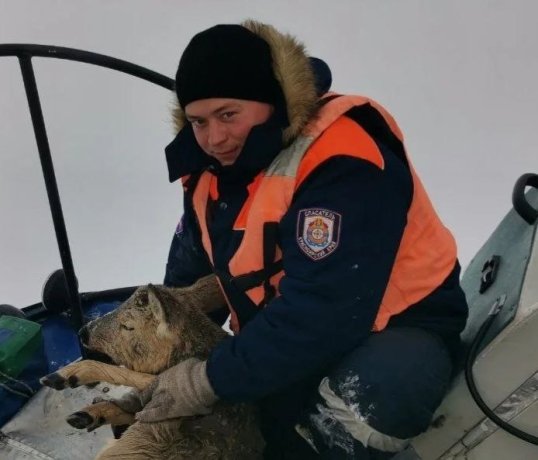 Фото: тг-канал КГКУ «Спасатель»