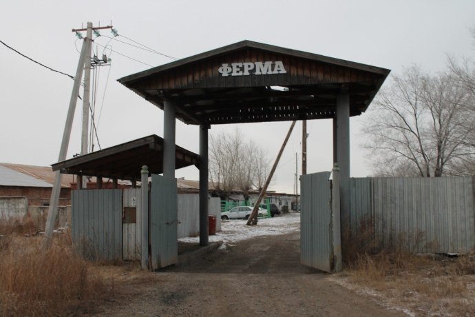 Фото:   Россельхознадзор по Хакасии и Тыве