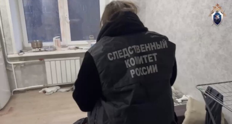 Стоп-кадр видео СУ СК по Красноярскому краю и Хакасии