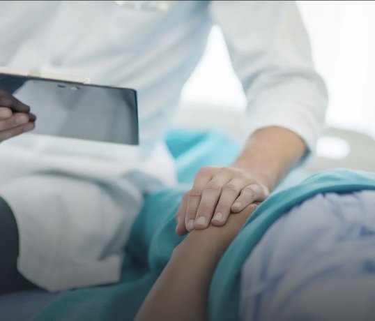 Фото: Cat Box / Shutterstock / Fotodom  