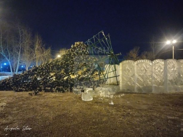 Фото: Angela Sher