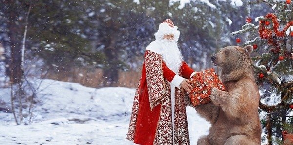 Изображение на обложке: shutterstock / Bayhu19