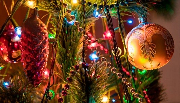 Фото: pxhere.com