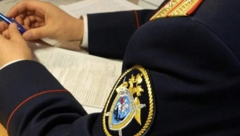 Фото: t.me/sledcom38