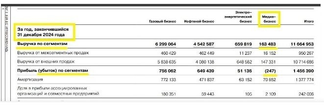  Финансовый отчёт ПАО "Газпром" за 2024 год. Скриншот Царьграда (документ доступен на интернет-сайте gazprom.ru)