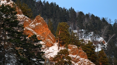 Фото: РИА Новости/Илья Наймушин