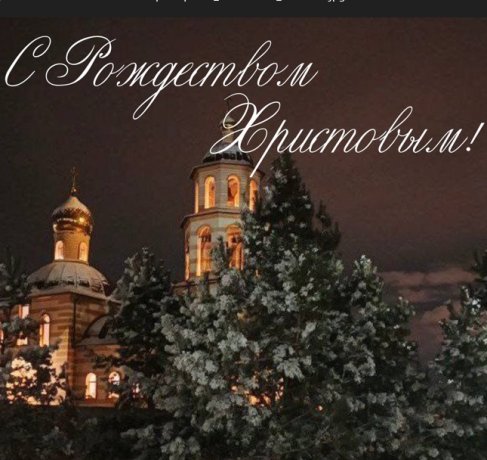 Фото: ТГ-канал Елена Егорова