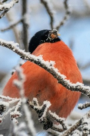 Фото: Андрей Зайченко