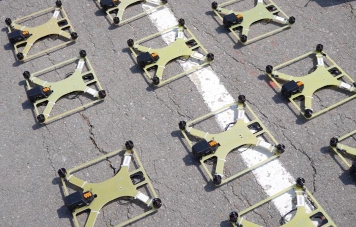 Фото: © Народный фронт/ ТАСС