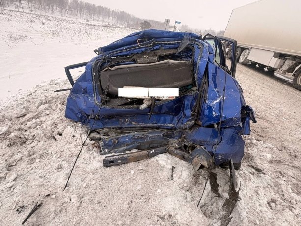 Фото: ГАИ Красноярского края