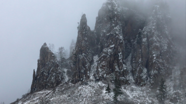 Фото: © РИА Новости/ Илья Наймушин