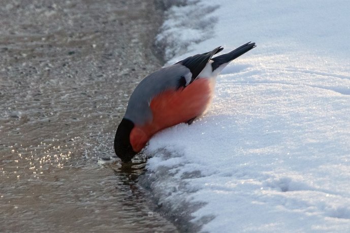 Фото: Андрей Зайченко