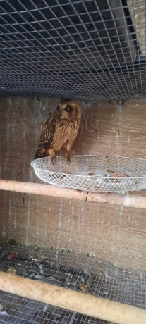 Фото: МВД по Красноярскому краю