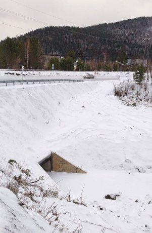 Фото: УФССП по Хакасии