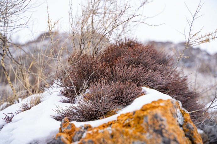 Фото: ТИЦ Хакасии