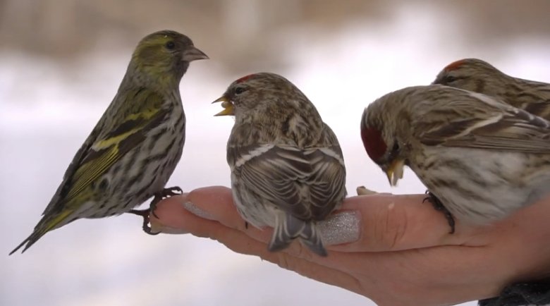 Фото: Минприроды Хакасии