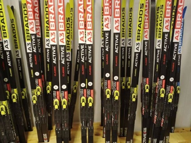 Фото: Администрация Саяногорска