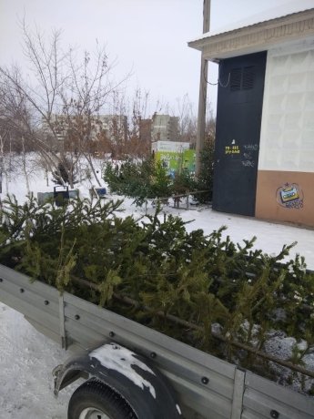 Фото: Миприроды Хакасии