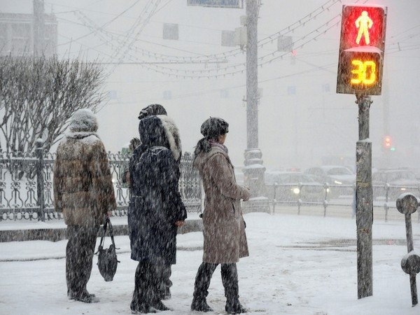 Фото: Наталья Мущинкина, МК.ру