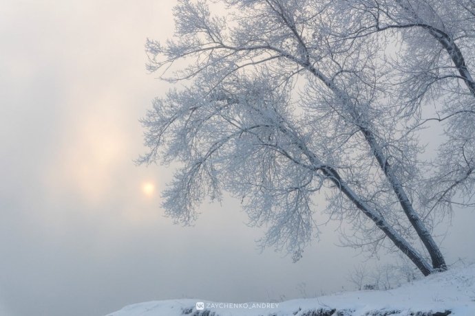 Фото: Андрей Зайченко 