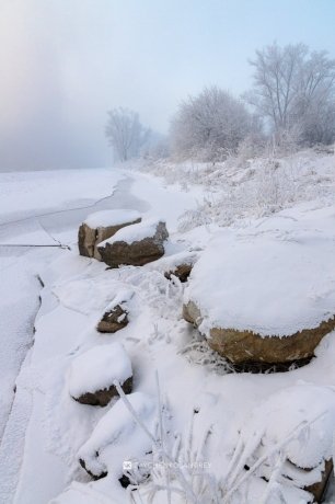 Фото: Андрей Зайченко 
