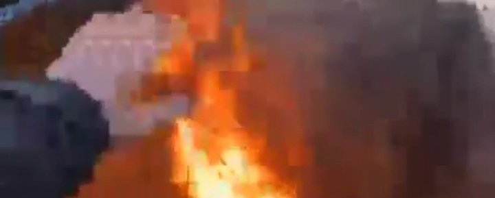 Фото: Стопкадр видео Минприроды Хакасии