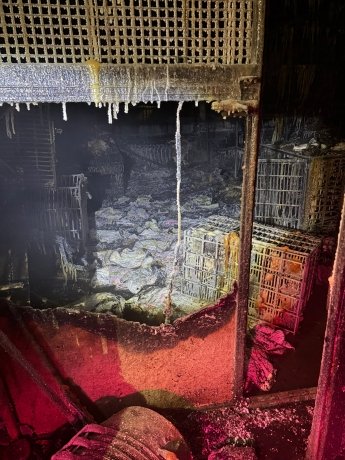 Фото: Мария Окунева