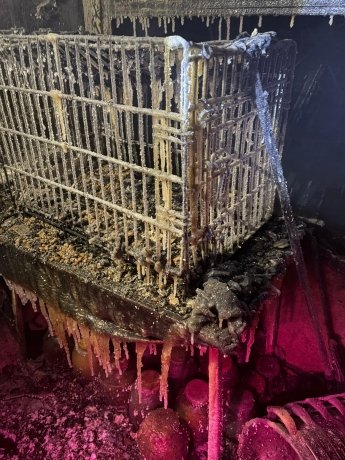 Фото: Мария Окунева