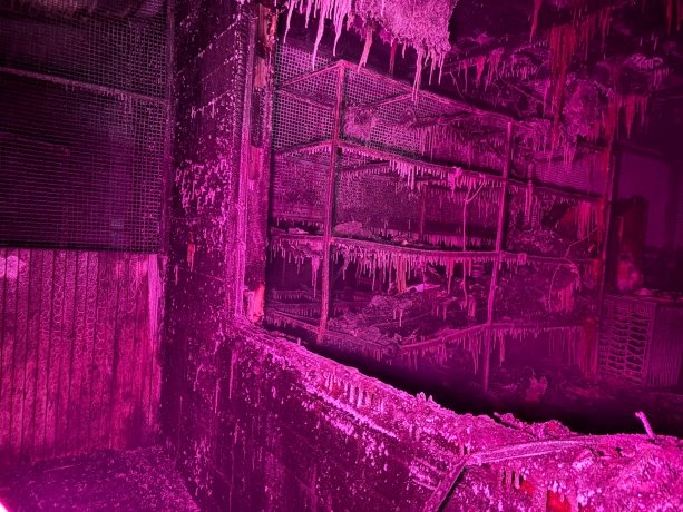 Фото: Мария Окунева