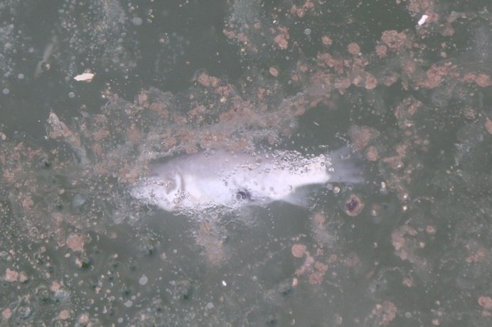 Фото: Минсельхоз Хакасии