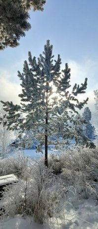 Фото: Александра Бирюкова