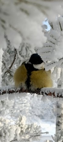 Фото: Александра Бирюкова