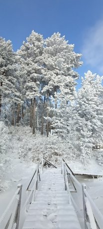 Фото: Александра Бирюкова