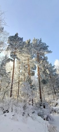 Фото: Александра Бирюкова
