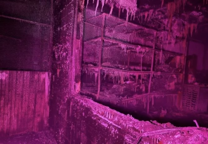 Фото: Мария Окунева