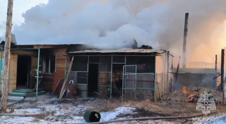 Фото: Стопкадр видео МЧС России по Хакасии 