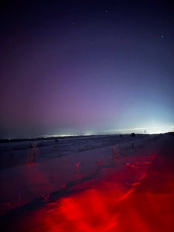 Фото: «Ласковый спецназ» / Telegram