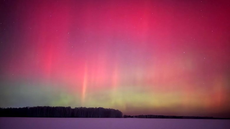 Фото: «Ласковый спецназ» / Telegram