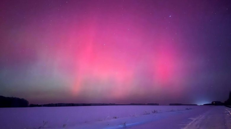 Фото: «Ласковый спецназ» / Telegram