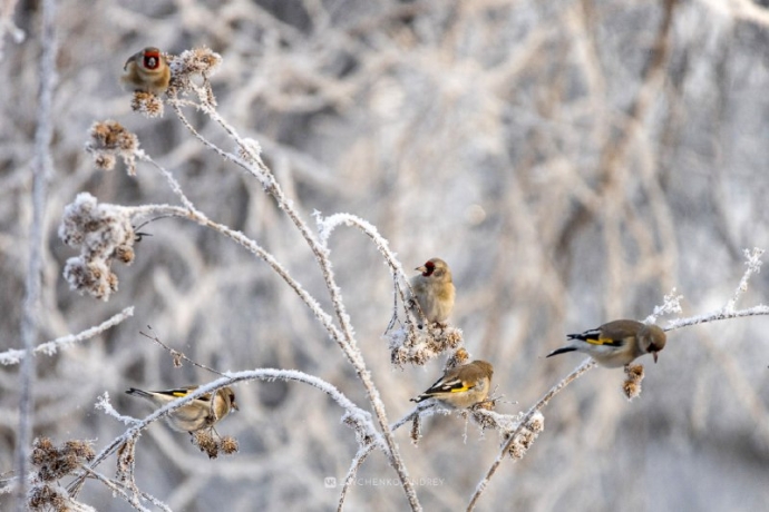 Фото: Андрей Зайченко