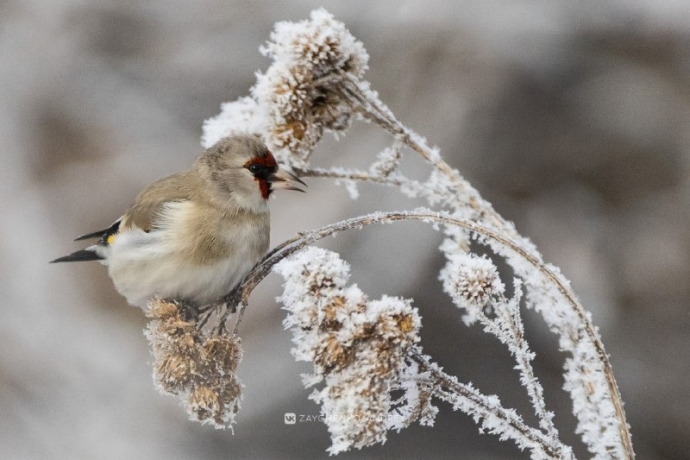 Фото: Андрей Зайченко