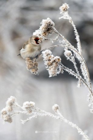 Фото: Андрей Зайченко